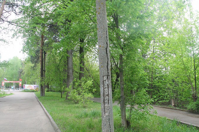 Опасные столбы на входе в кинешемский парк демонтируют ко Дню города фото 3