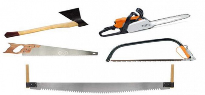 Совет Федерации дал рекомендации по сбору валежника фото 9