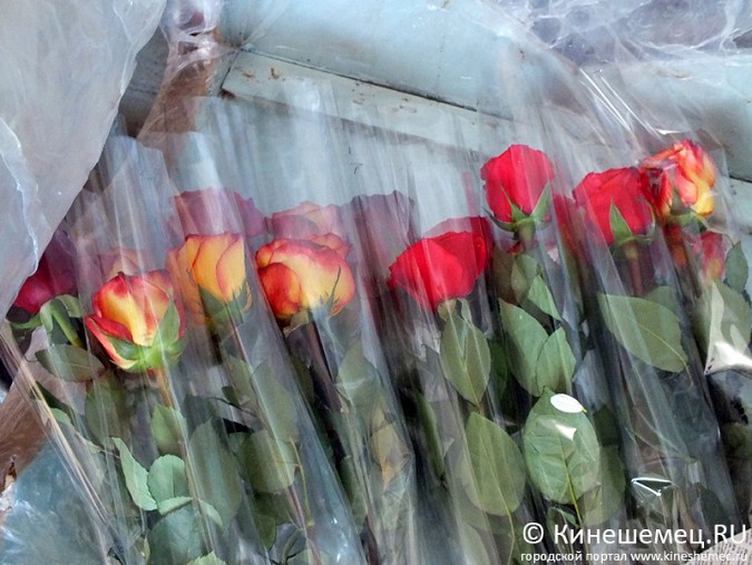 В Кинешме снова звучали романсы фото 9