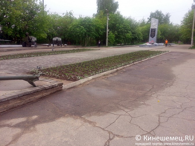 Администрация Кинешмы купила цветов на 300 тысяч рублей фото 3