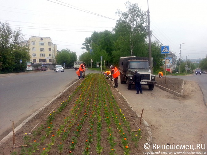 Администрация Кинешмы купила цветов на 300 тысяч рублей фото 2