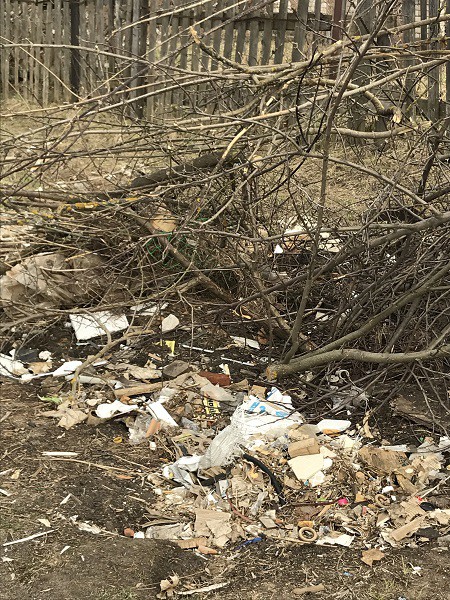 Кинешемцы просят власти убрать свалку на берегу Волге фото 3