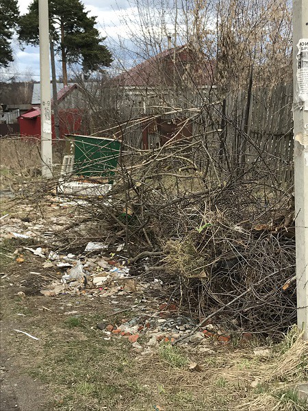 Кинешемцы просят власти убрать свалку на берегу Волге фото 7