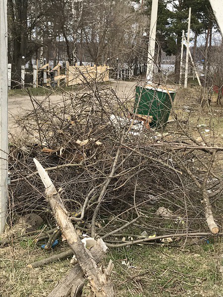 Кинешемцы просят власти убрать свалку на берегу Волге фото 2
