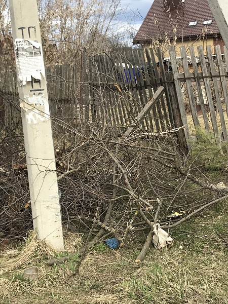 Кинешемцы просят власти убрать свалку на берегу Волге фото 6