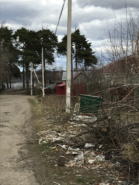 Кинешемцы просят власти убрать свалку на берегу Волге фото 4