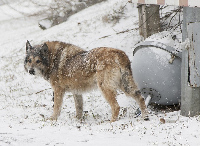 Порывом ветра сорвало плафон с фонаря на нижней набережной Волжского бульвара фото 2