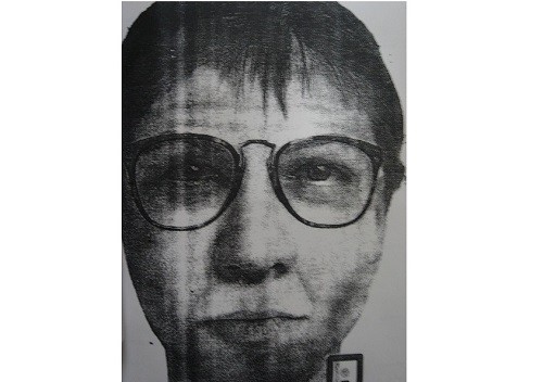 В Ивановской области разыскивают похитителя двух детей фото 2