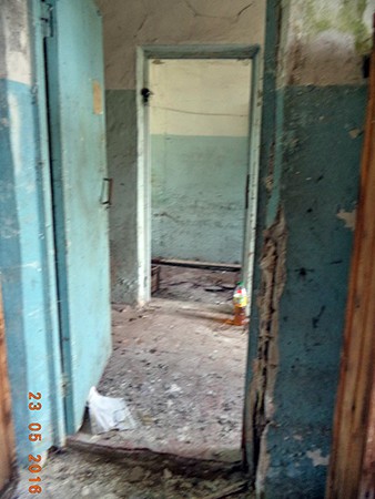 Кинешемскому приюту «Добрый дом» требуется помощь фото 8