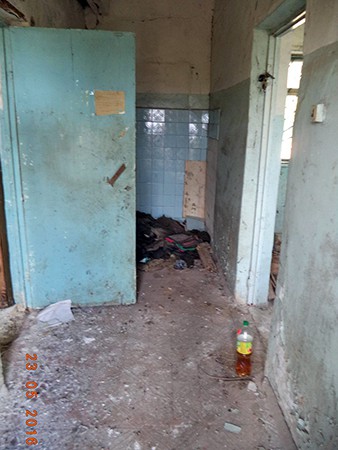 Кинешемскому приюту «Добрый дом» требуется помощь фото 9