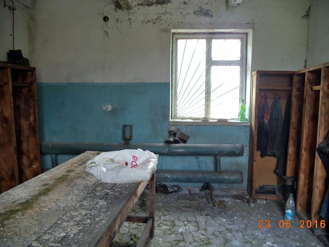 Кинешемскому приюту «Добрый дом» требуется помощь фото 4