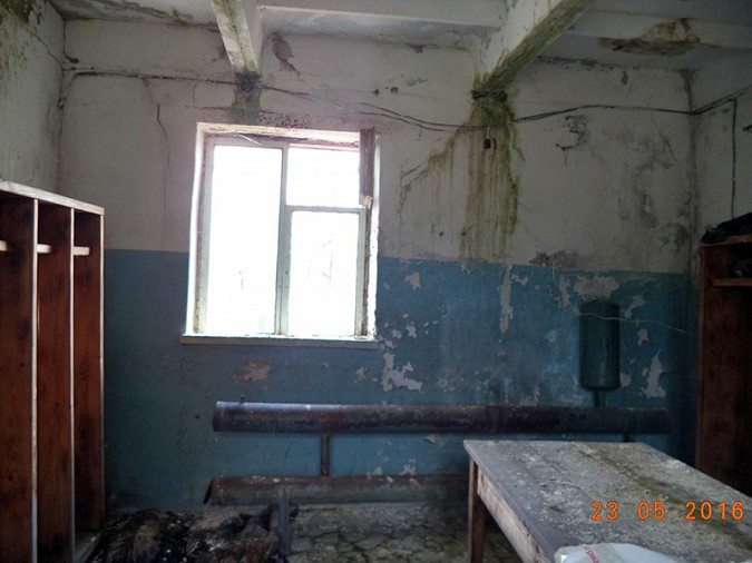 Кинешемскому приюту «Добрый дом» требуется помощь фото 7