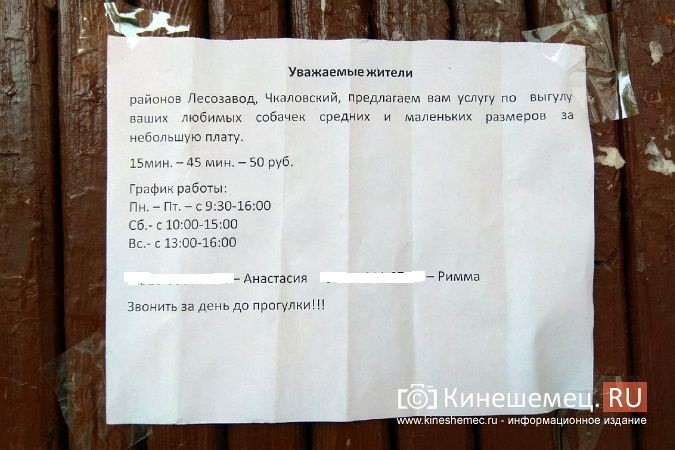 В Кинешме в коронавирус появился бизнес по выгулу собак за деньги фото 2