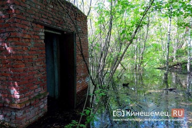 Территория рядом с Никольским мостом уходит под воду фото 3