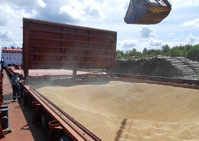 В Кинешемский район прибыл сухогруз с 3 тысячами тонн ячменного солода из Европы фото 3
