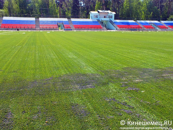 В День России на стадионе «Волжанин» откроют поле с искусственным покрытием фото 7
