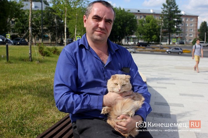 Кинешемский бизнесмен за 800 тысяч рублей пересадил почку любимой кошке фото 7