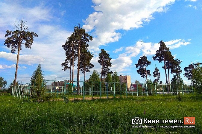 ТОС «АЗЛК» планирует благоустроить «Сосенки» в кинешемской Санта-Барбаре фото 5