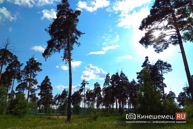 ТОС «АЗЛК» планирует благоустроить «Сосенки» в кинешемской Санта-Барбаре фото 4