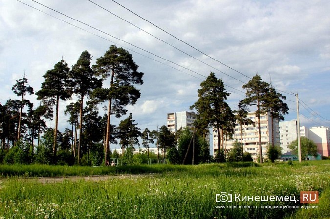 ТОС «АЗЛК» планирует благоустроить «Сосенки» в кинешемской Санта-Барбаре фото 2