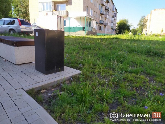 В микрорайоне «Поликор» жители просят подстричь газоны на кинешемском Арбате фото 2