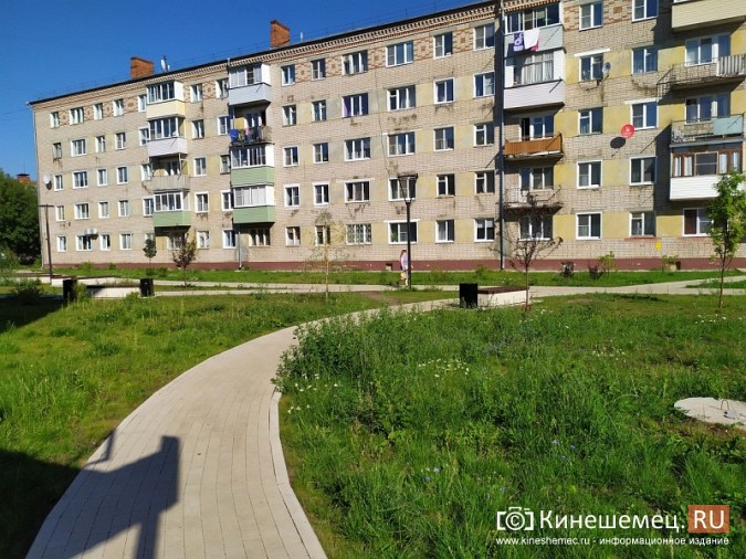 В микрорайоне «Поликор» жители просят подстричь газоны на кинешемском Арбате фото 5