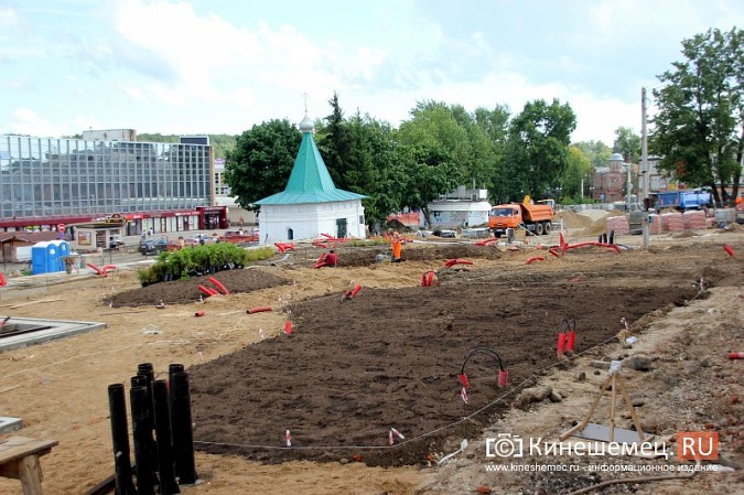 В Кинешме приступили к озеленению площади Революции фото 9