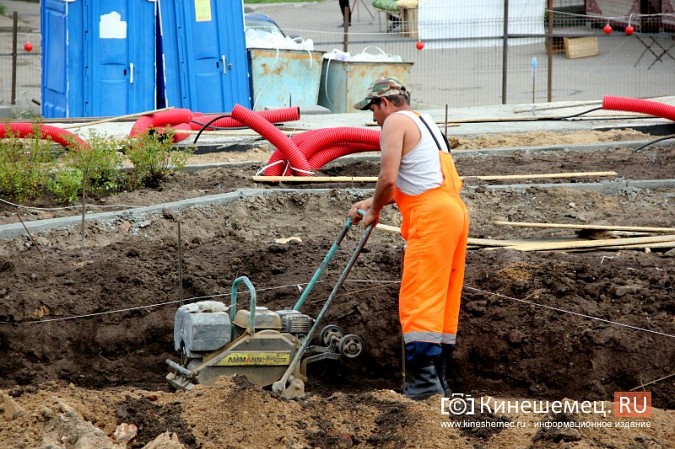 В Кинешме приступили к озеленению площади Революции фото 3
