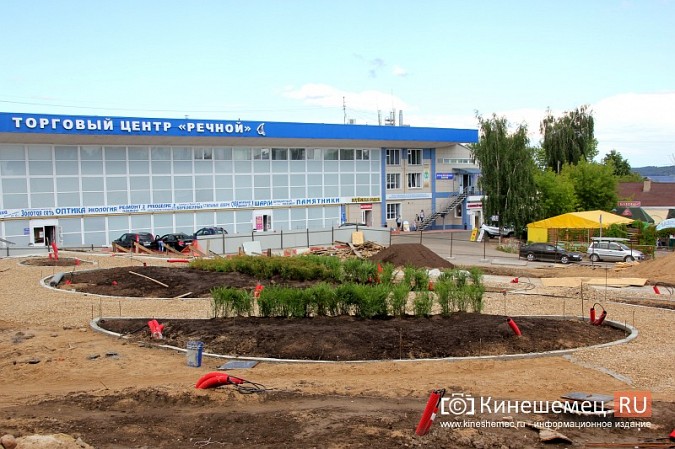 В Кинешме приступили к озеленению площади Революции фото 10