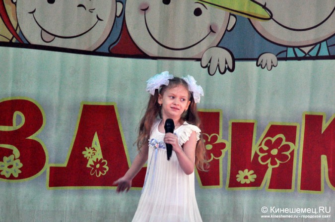 В День защиты детей в Кинешме закрыли кассу парка культуры и отдыха фото 43