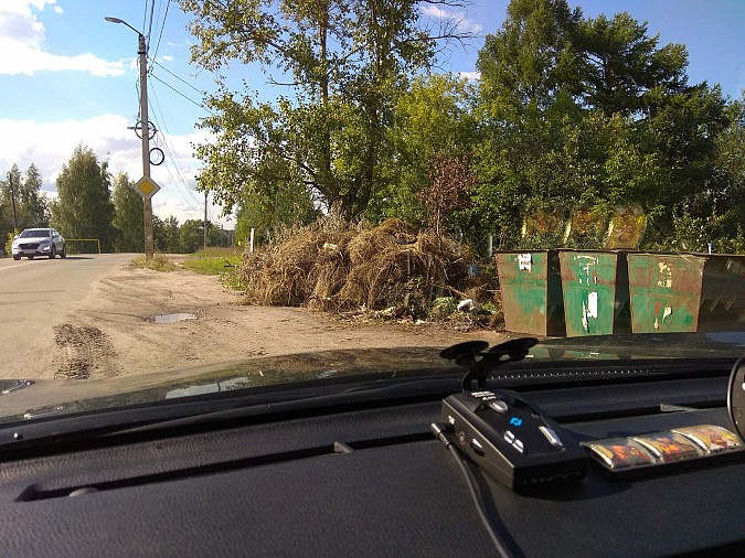 Кинешемцы делятся фото зарастающей мусором улицы Юрьевецкой фото 4