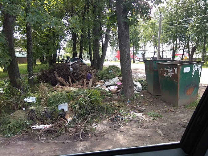 Кинешемцы делятся фото зарастающей мусором улицы Юрьевецкой фото 9