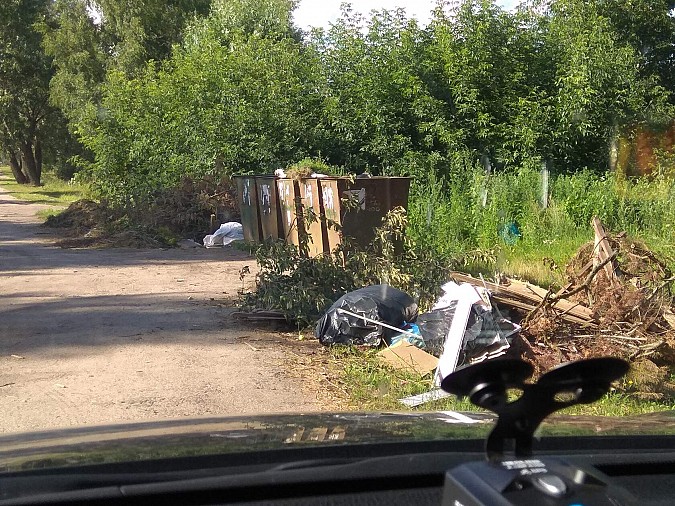 Кинешемцы делятся фото зарастающей мусором улицы Юрьевецкой фото 2