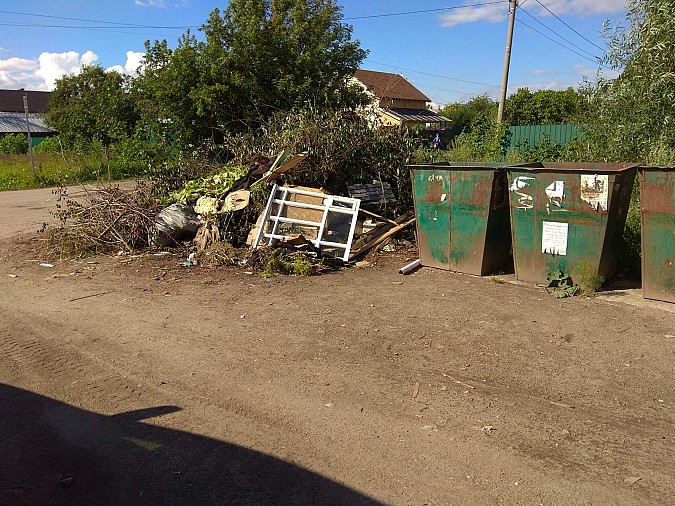 Кинешемцы делятся фото зарастающей мусором улицы Юрьевецкой фото 6