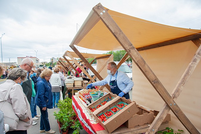 Пчеловоды съехались в Иваново на Медовый спас фото 7