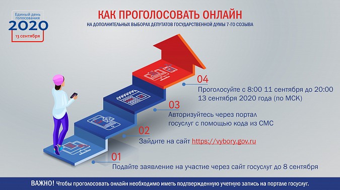 Дистанционное голосование в Курской и Ярославской областях: инструкция для избирателей фото 2