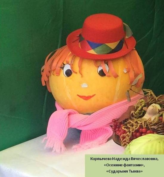 В Наволоках прошло онлайн-мероприятие для огородников фото 12