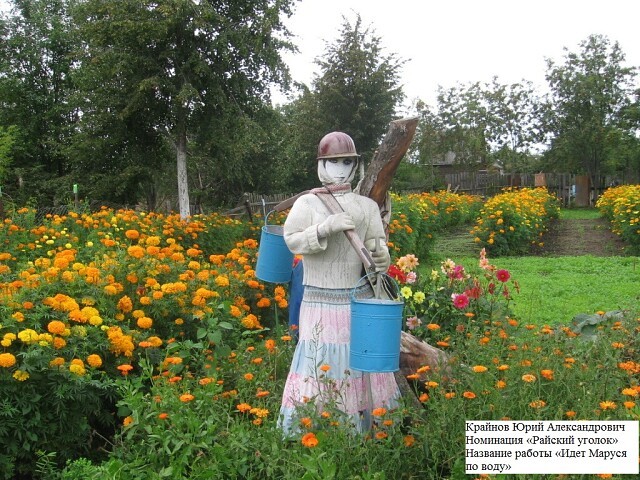 В Наволоках прошло онлайн-мероприятие для огородников фото 2