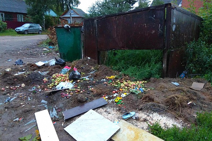 Депутат А.Орехов инициировал проверку прокуратуры по мусорной площадке на Менделеева фото 7