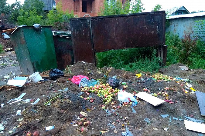 Депутат А.Орехов инициировал проверку прокуратуры по мусорной площадке на Менделеева фото 4