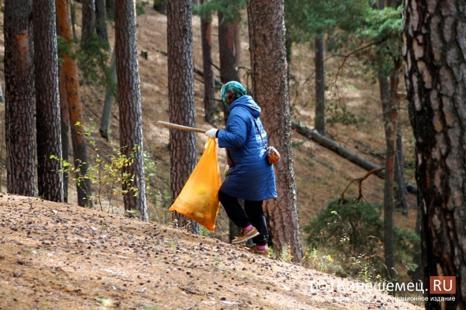 В Кинешме убрали мусор в сосновом лесу фото 18
