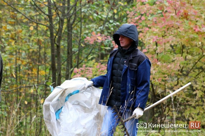 В Кинешме убрали мусор в сосновом лесу фото 10
