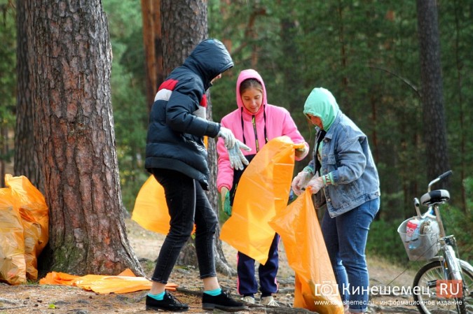 В Кинешме убрали мусор в сосновом лесу фото 24