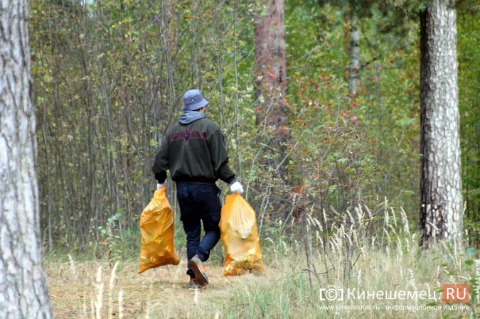 В Кинешме убрали мусор в сосновом лесу фото 25