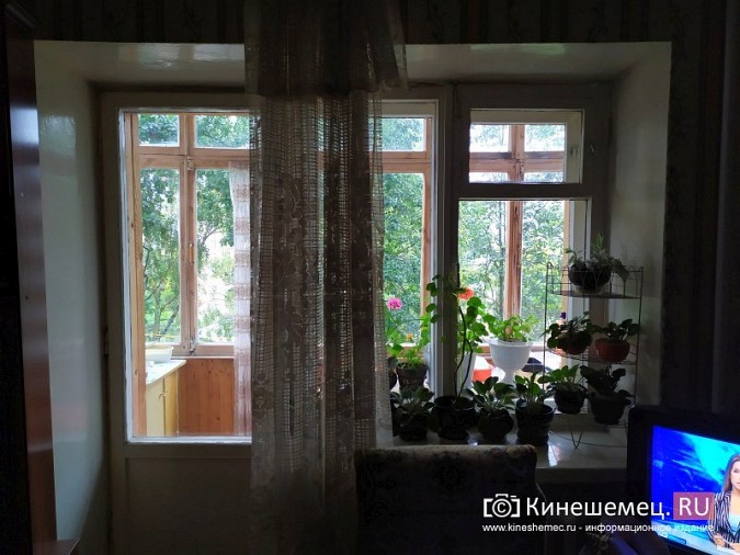 Из-за огромных деревьев в квартиры дома на ул.Островского не попадает свет фото 3