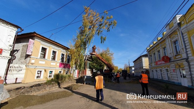 На ул.Комсомольской спилили березу, которая могла упасть на проезжую часть фото 2