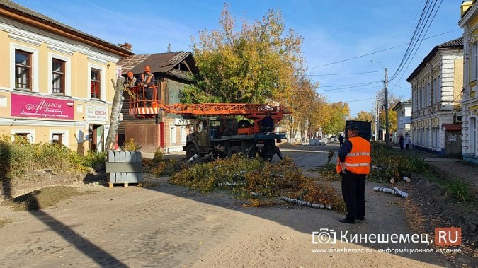На ул.Комсомольской спилили березу, которая могла упасть на проезжую часть фото 5