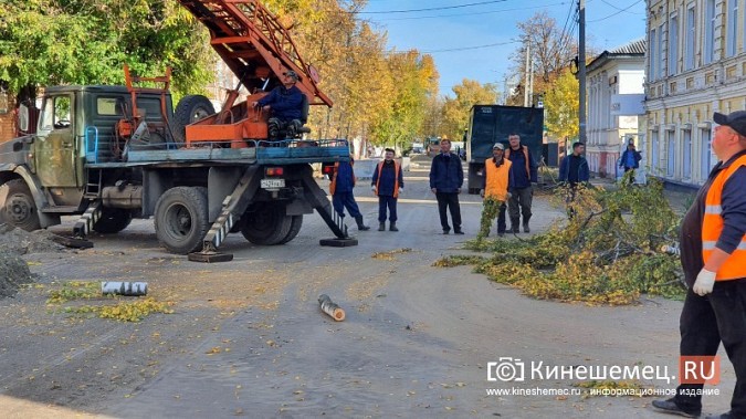 На ул.Комсомольской спилили березу, которая могла упасть на проезжую часть фото 3