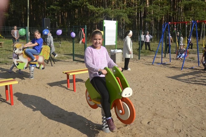 В Наволоках установили новую детскую площадку фото 9