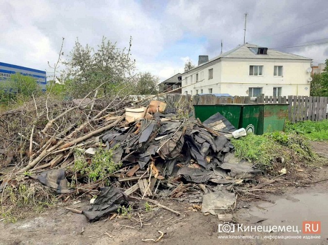 Жители микрорайона «Поликор» просят решить мусорную проблему фото 25